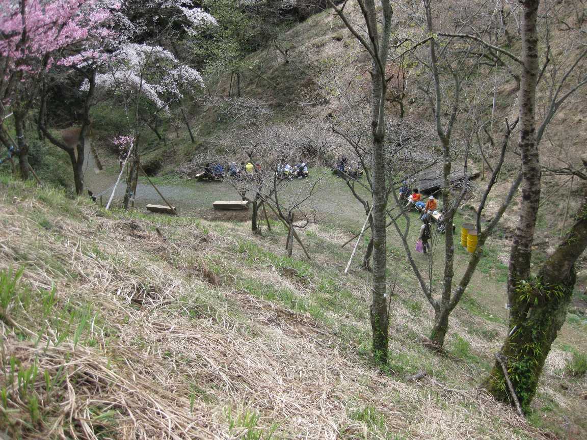 多摩森林科学園_a0138609_8104575.jpg