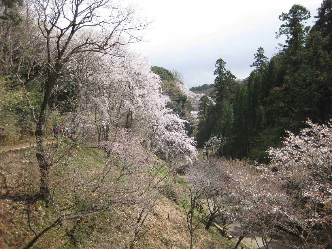 多摩森林科学園_a0138609_8115482.jpg