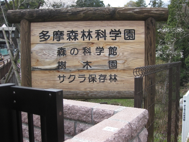 多摩森林科学園_a0138609_812335.jpg