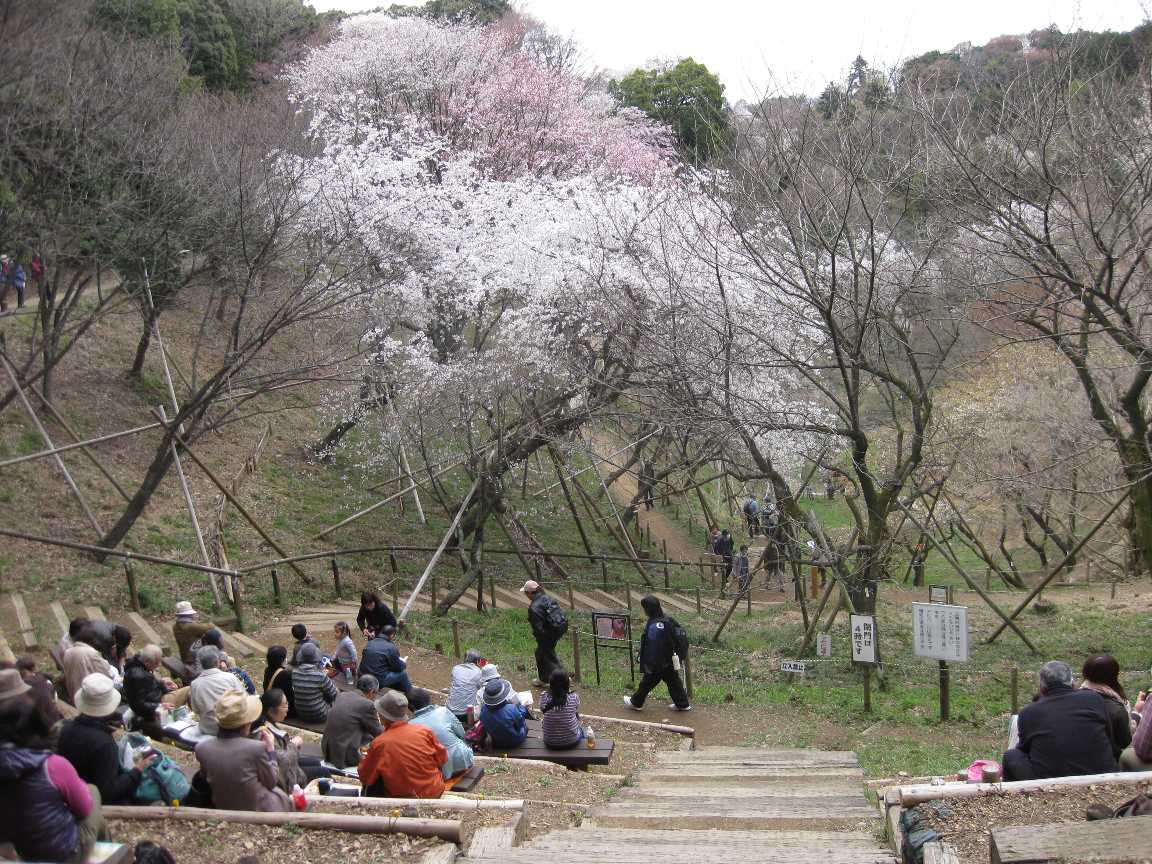多摩森林科学園_a0138609_814735.jpg