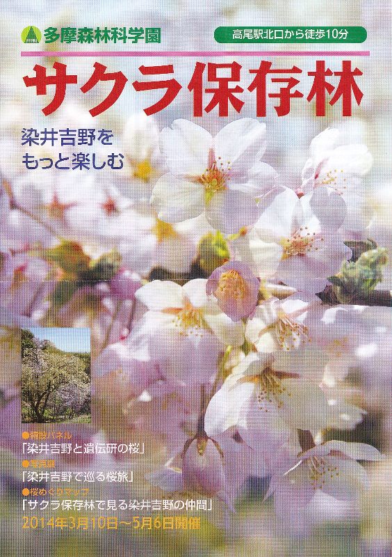 多摩森林科学園_a0138609_862099.jpg