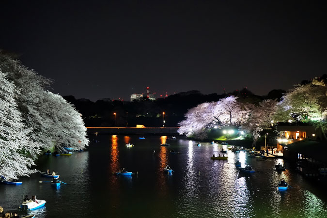 千鳥ヶ淵の夜桜2_a0263109_2128612.jpg