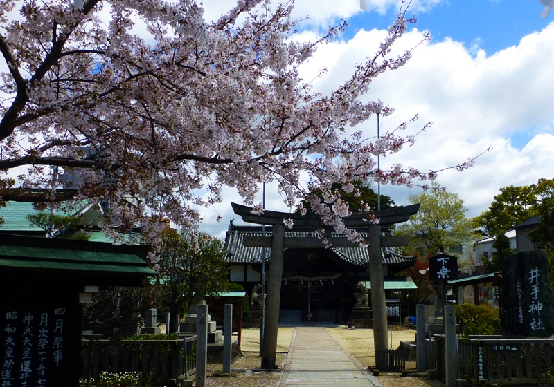 井手神社_c0120913_145117.jpg