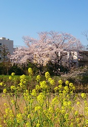 c0315313_16074466.jpg