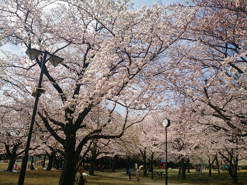c0315313_16264909.jpg