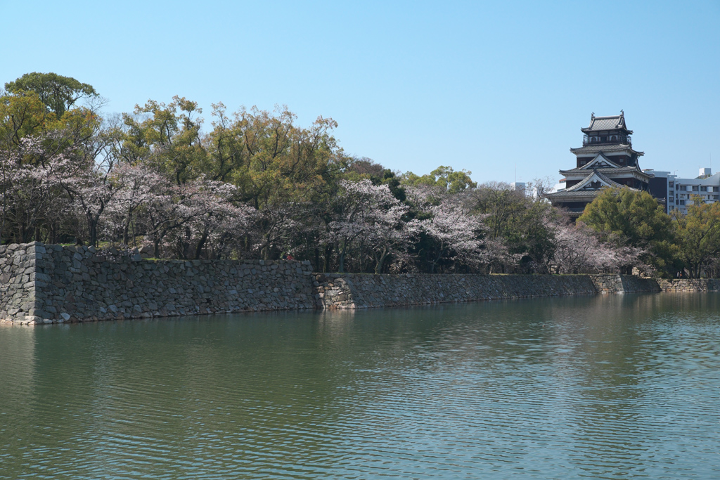 広島城の桜_a0287517_19133522.jpg