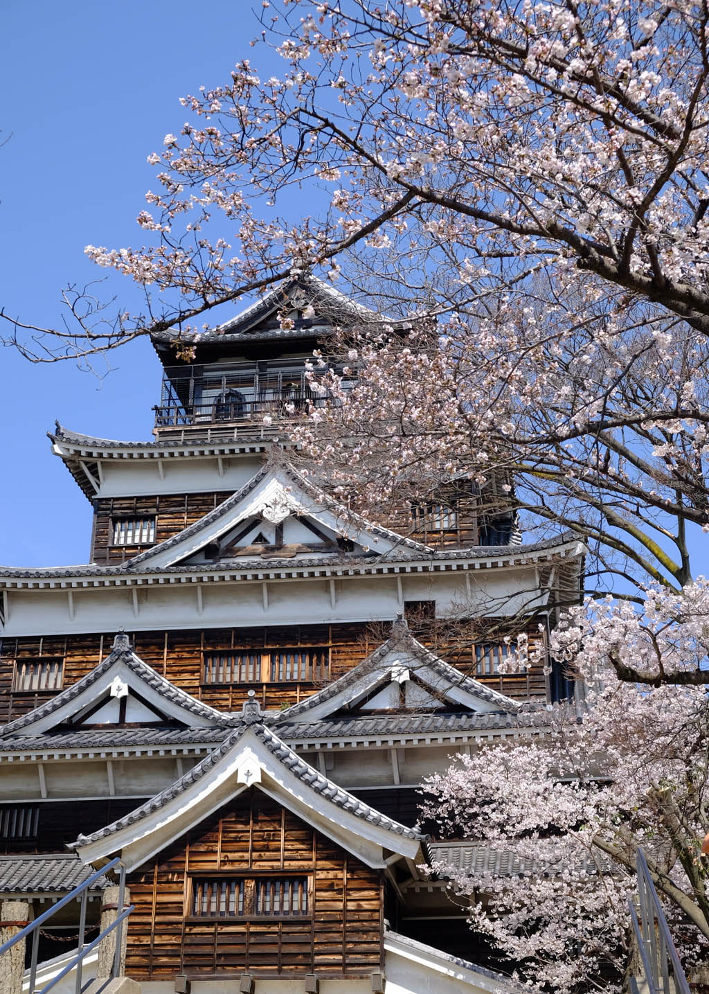 広島城の桜_a0287517_19202655.jpg