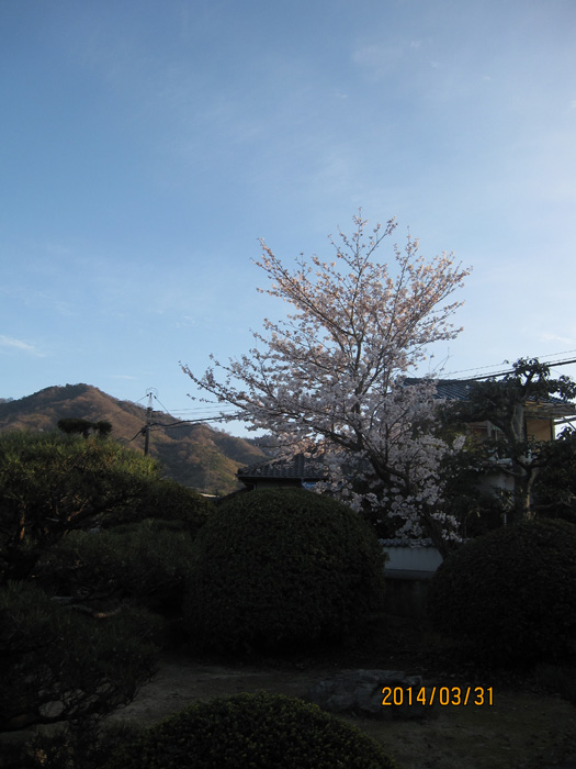 e0244621_23141025.jpg
