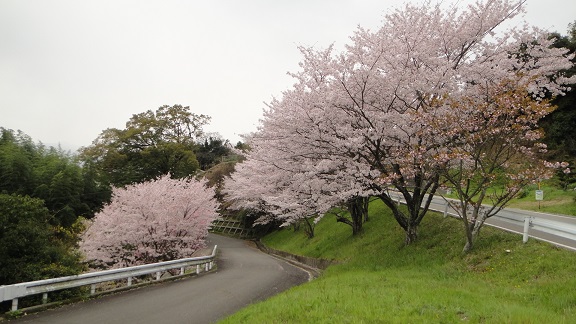 競い合い　　２０１４・４・７_f0000521_1852119.jpg