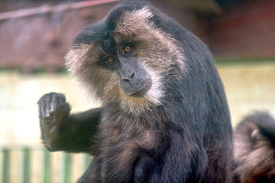 f0224624_16305968.jpg