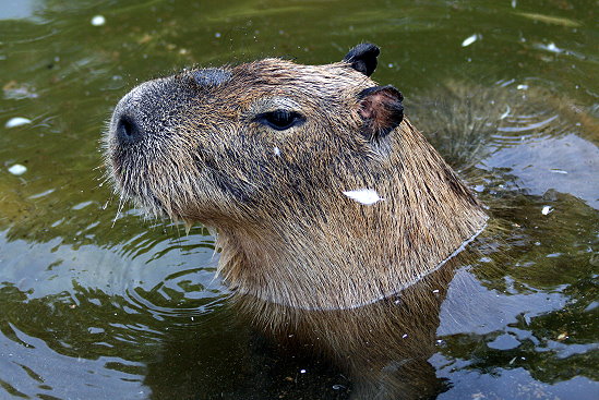 f0224624_438252.jpg