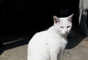 フォトふれ 展覧会「これからのそれから 2014」_b0187229_4263275.jpg