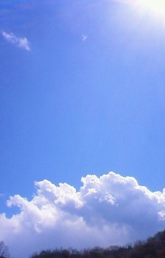 b0279129_1439221.jpg