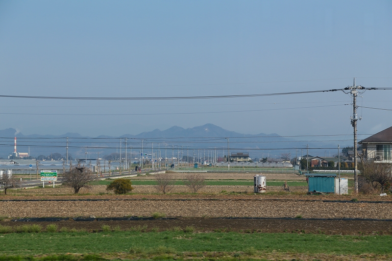 栃木県佐野市　カタクリの里（１）_f0229832_8565824.jpg