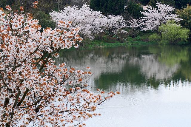 a0242438_18644.jpg
