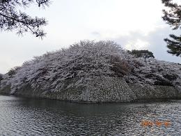b0323340_23525536.jpg