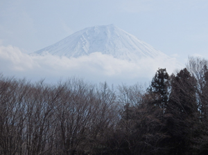 a0106341_19374996.jpg