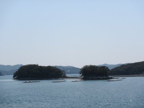 d0035444_16521796.jpg