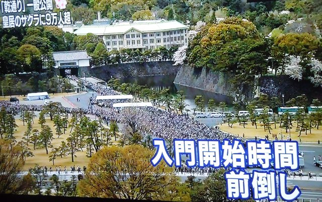 皇居 乾通り 一般公開 南華の祈り 皇居 乾通り 一般公開 南華の祈り
