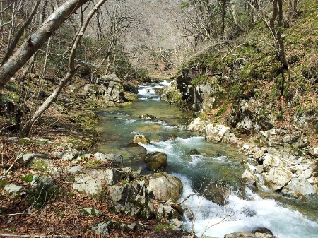 a0315448_14134419.jpg