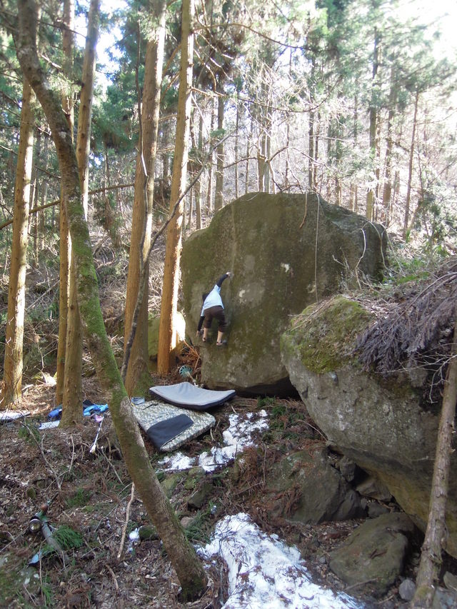 e0329049_21305476.jpg