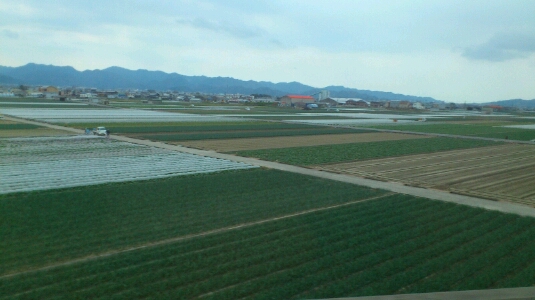b0148050_11261575.jpg