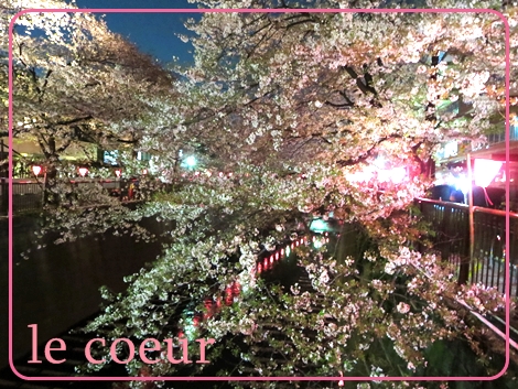目黒川の夜桜_f0305451_9415876.jpg