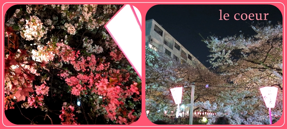 目黒川の夜桜_f0305451_9424054.jpg