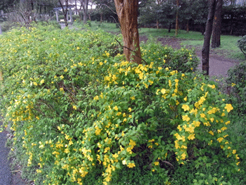 a0044453_836259.gif