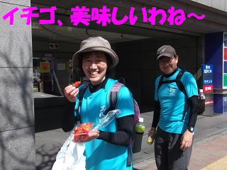 f0043559_15475517.jpg