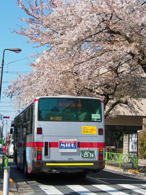 【さくらの風景】2014年春_c0130964_5435290.jpg