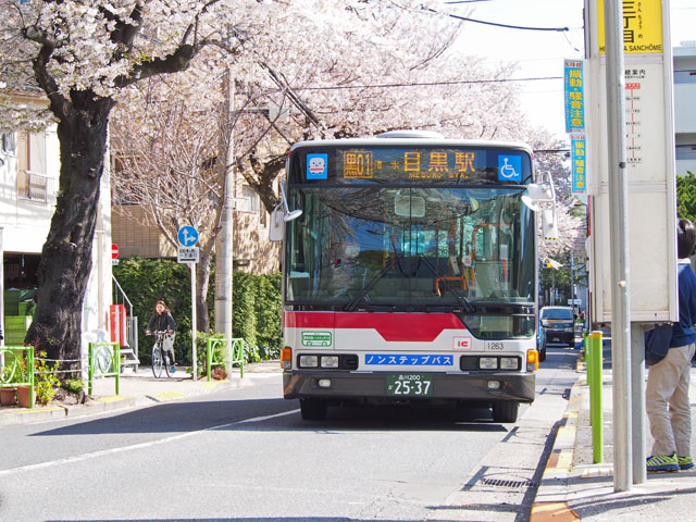 【さくらの風景】2014年春_c0130964_5441372.jpg