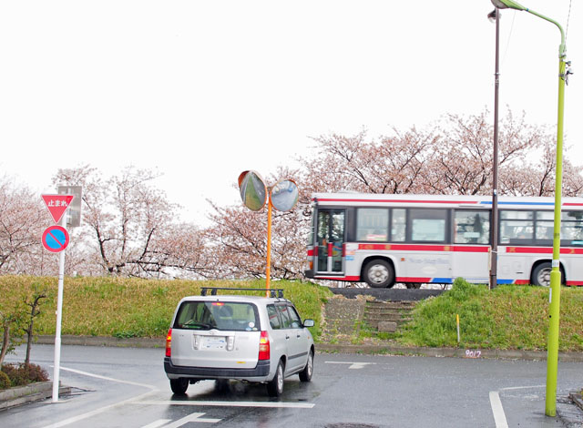 【さくらの風景】2014年春_c0130964_5521521.jpg