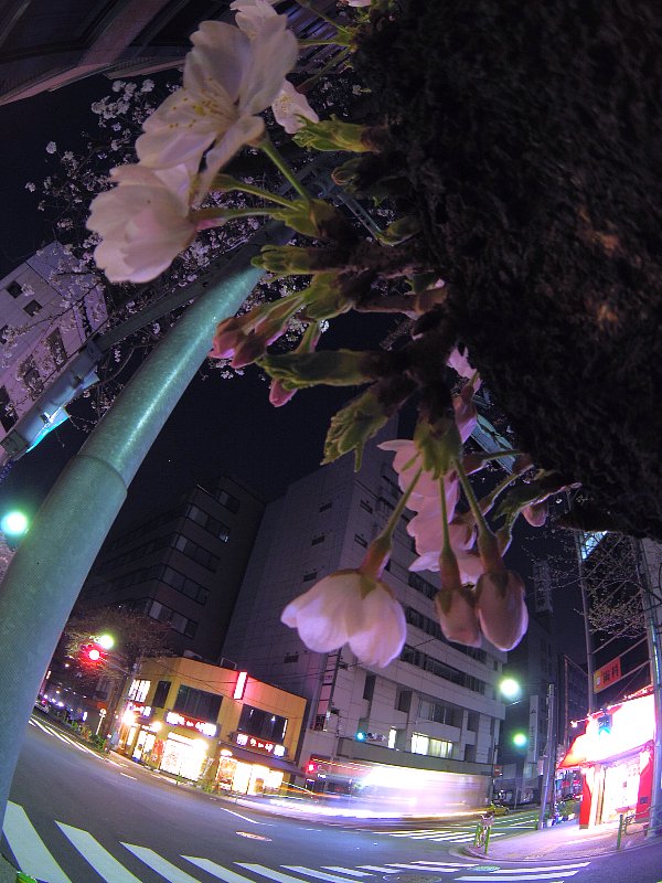b0084270_249920.jpg