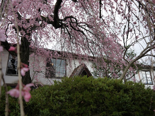 a0219573_1173832.jpg