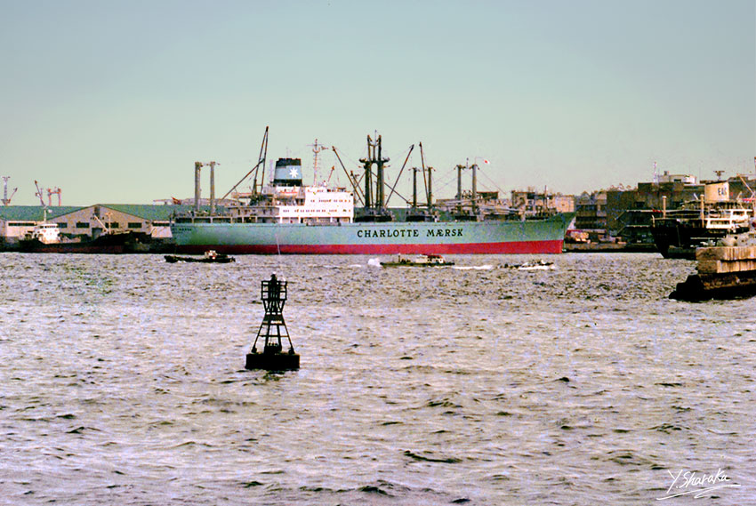 e0153076_23303146.jpg