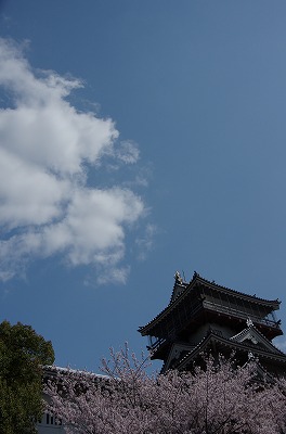 a0235077_23903.jpg