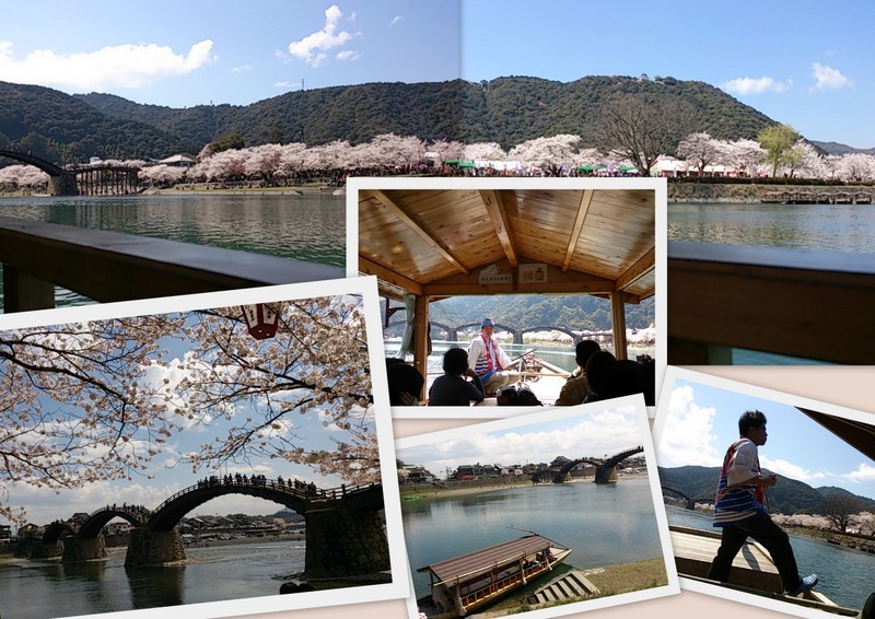 桜の錦帯橋!(^^)!_e0069481_8421729.jpg