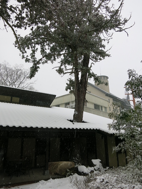 2014年2月　御所別墅　雪！雪！雪！　_f0299682_16175395.jpg