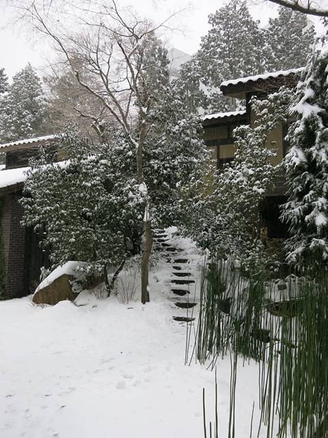 2014年2月　御所別墅　雪！雪！雪！　_f0299682_1627561.jpg