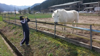 ゴージャスコームと、森の馬さん。_e0168583_9432680.jpg