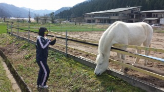ゴージャスコームと、森の馬さん。_e0168583_950116.jpg