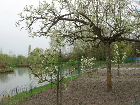 a0247585_62966.jpg