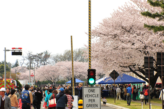 桜めぐり_a0116088_10594862.jpg