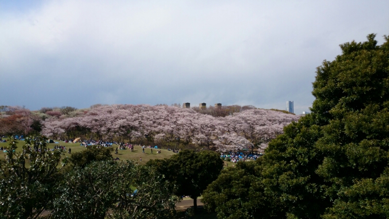 根岸森林公園_c0139388_10542.jpg