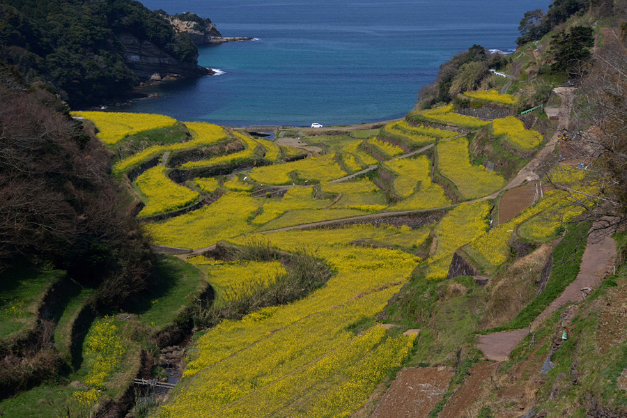 2014.03.22：慌ただしい帰省中に玄海町浜の浦へ１_c0007190_16575191.jpg