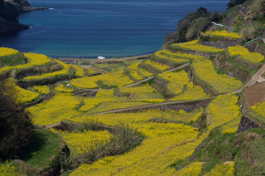 2014.03.22：慌ただしい帰省中に玄海町浜の浦へ１_c0007190_16582735.jpg