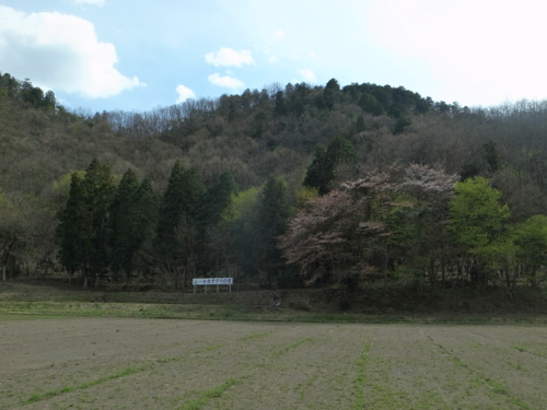 e0271890_17040891.png