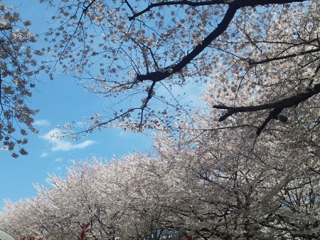 c0034391_15343949.jpg