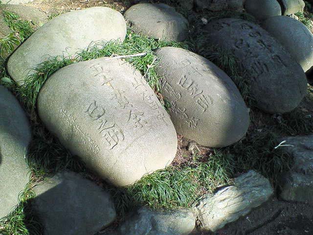 c0326000_1131830.jpg